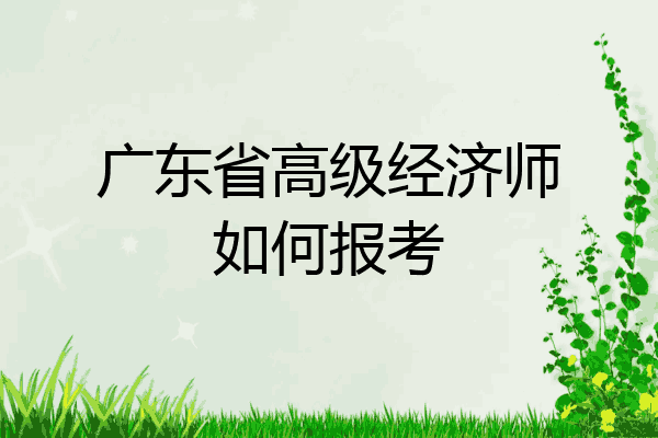 广东省高级经济师如何报考