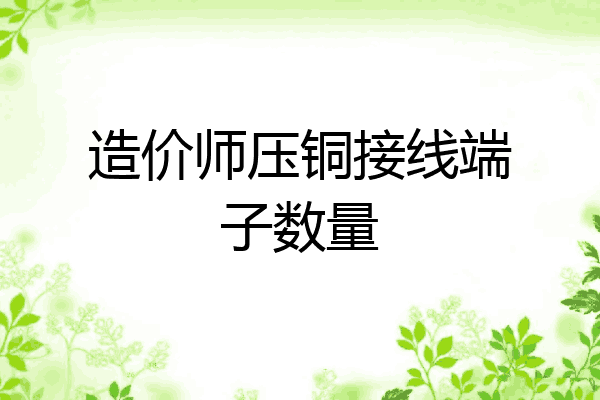 造价师压铜接线端子数量