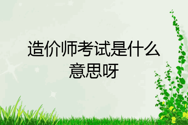 造价师考试是什么意思呀