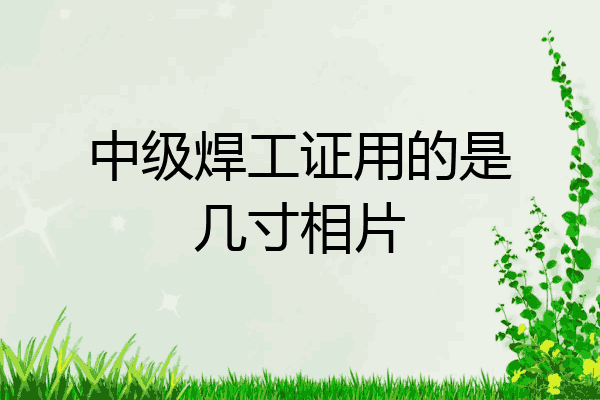 中级焊工证用的是几寸相片