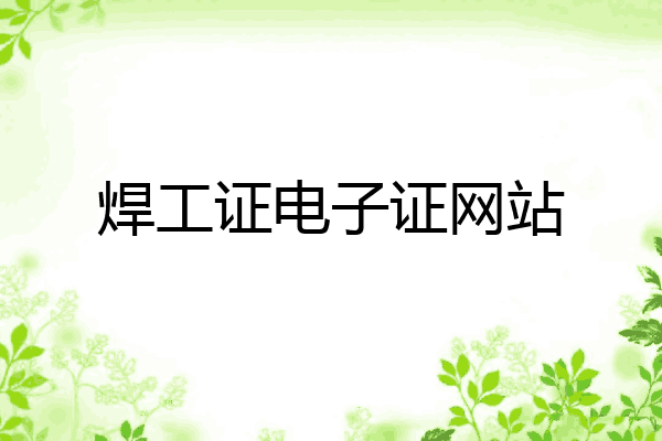 焊工证电子证网站