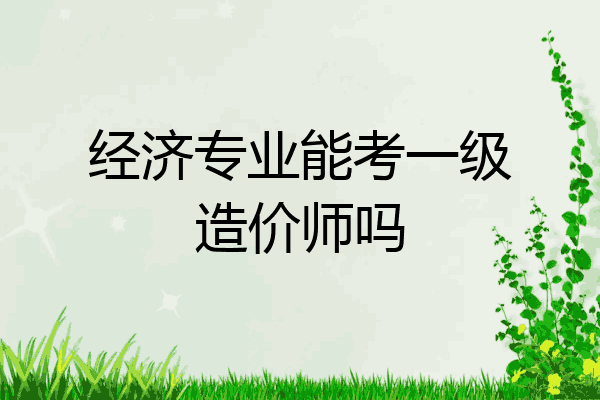 经济专业能考一级造价师吗