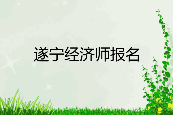 遂宁经济师报名