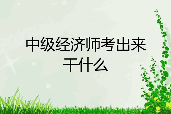 中级经济师考出来干什么