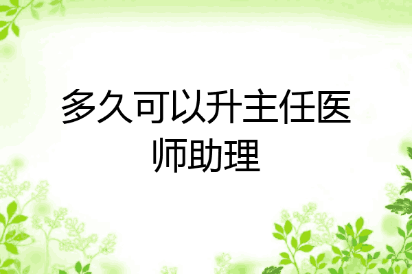 多久可以升主任医师助理