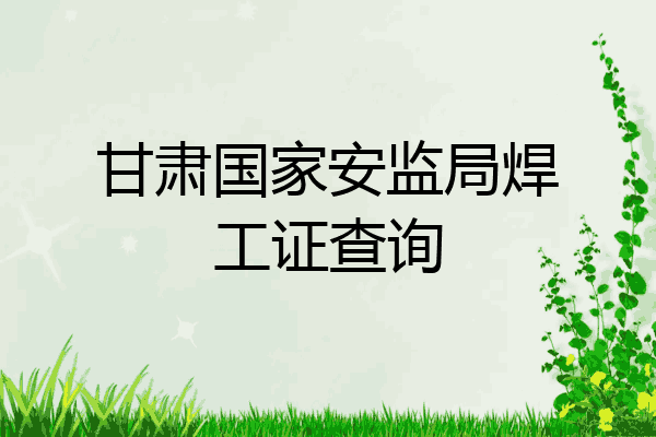 甘肃国家安监局焊工证查询