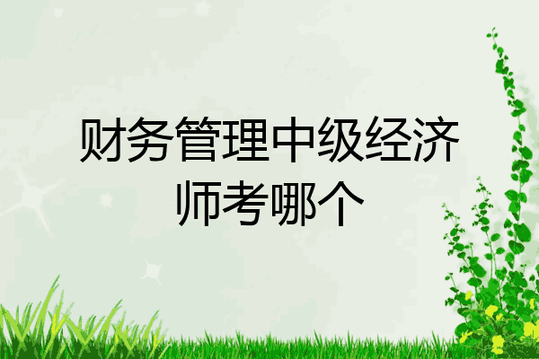 财务管理中级经济师考哪个