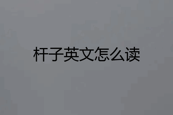 杆子英文怎么读