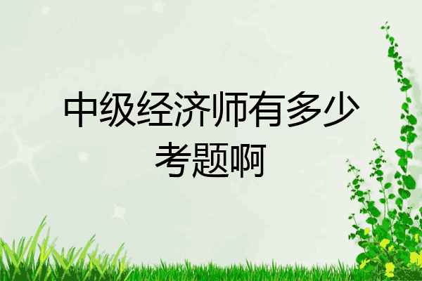 中级经济师有多少考题啊