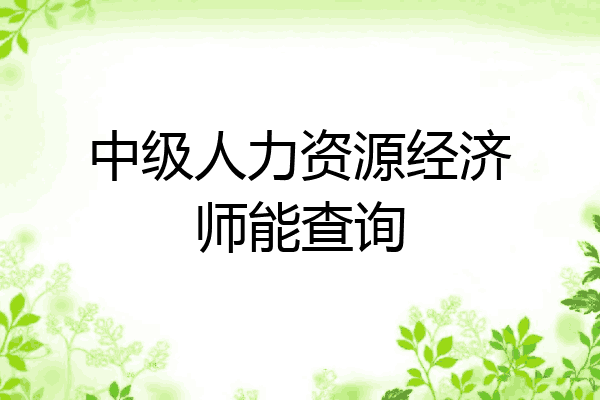 中级人力资源经济师能查询