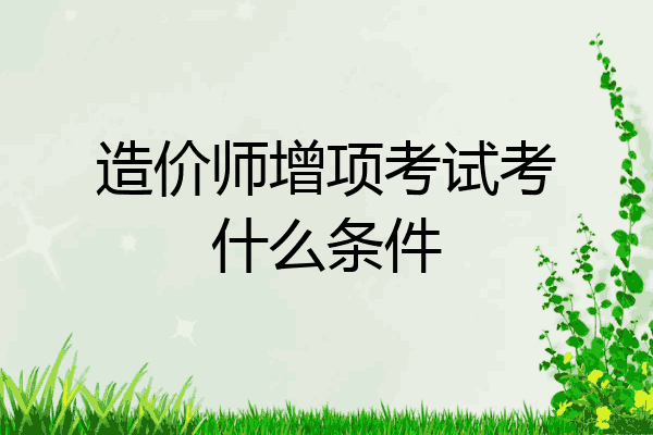造价师增项考试考什么条件