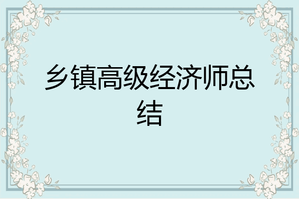 乡镇高级经济师总结