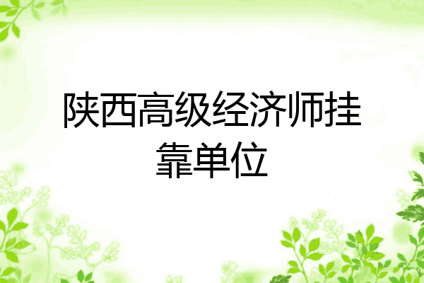 陕西高级经济师挂靠单位