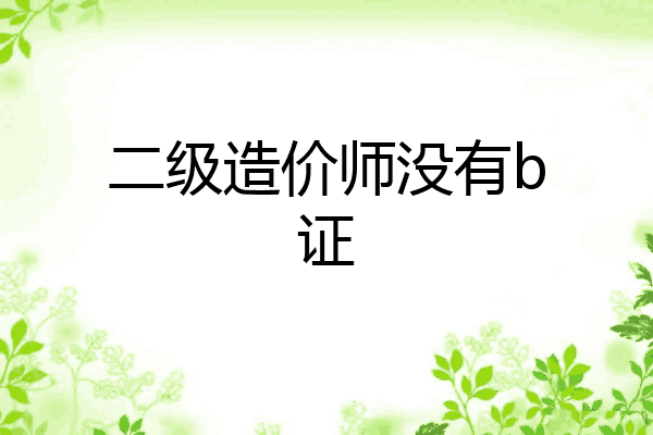 二级造价师没有b证