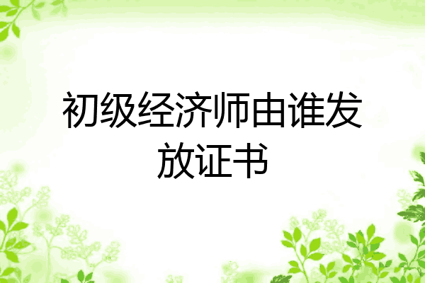 初级经济师由谁发放证书