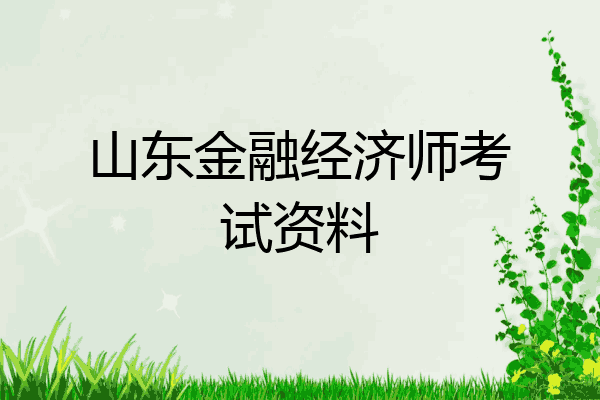 山东金融经济师考试资料