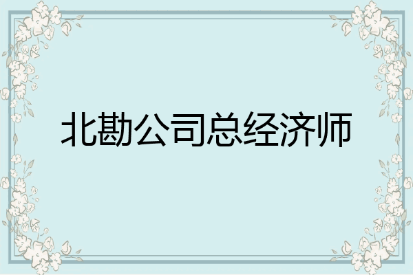 北勘公司总经济师