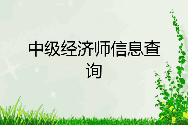 中级经济师信息查询