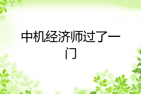 中机经济师过了一门