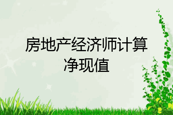房地产经济师计算净现值