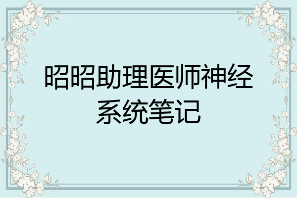 昭昭助理医师神经系统笔记