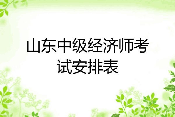 山东中级经济师考试安排表