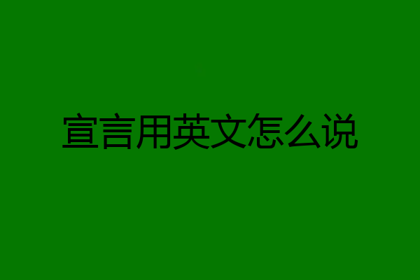 宣言用英文怎么说