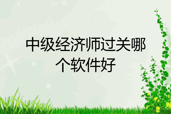 中级经济师过关哪个软件好