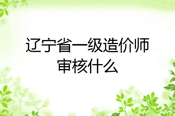 辽宁省一级造价师审核什么