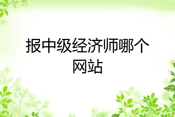 报中级经济师哪个网站