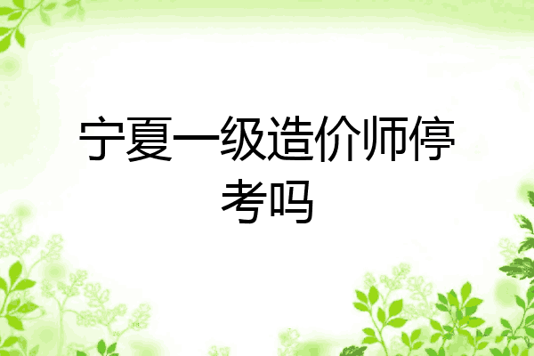 宁夏一级造价师停考吗