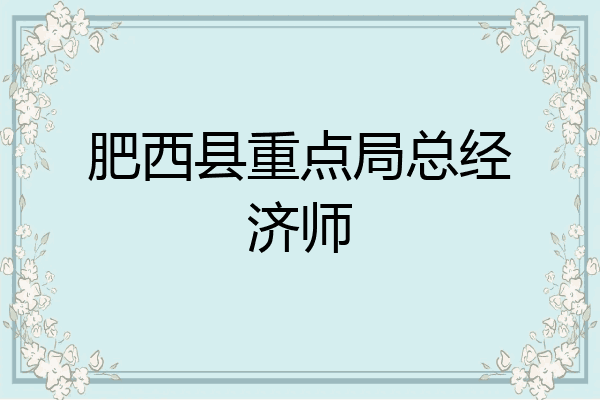 肥西县重点局总经济师