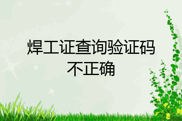 焊工证查询验证码不正确