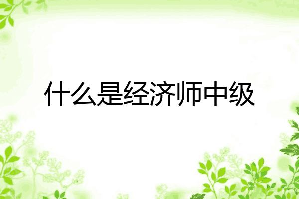 什么是经济师中级