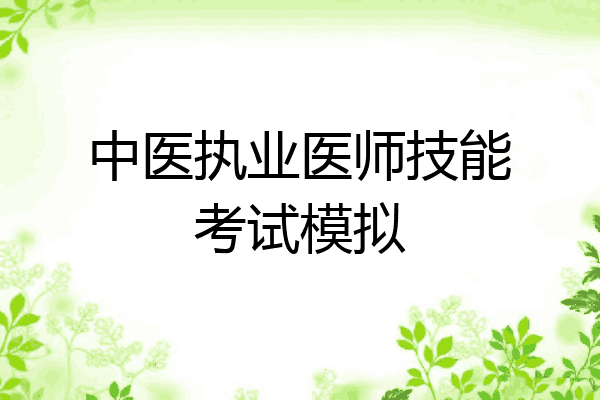 中医执业医师技能考试模拟