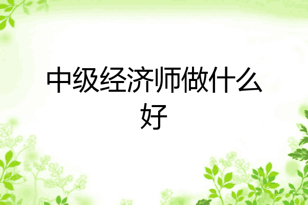 中级经济师做什么好