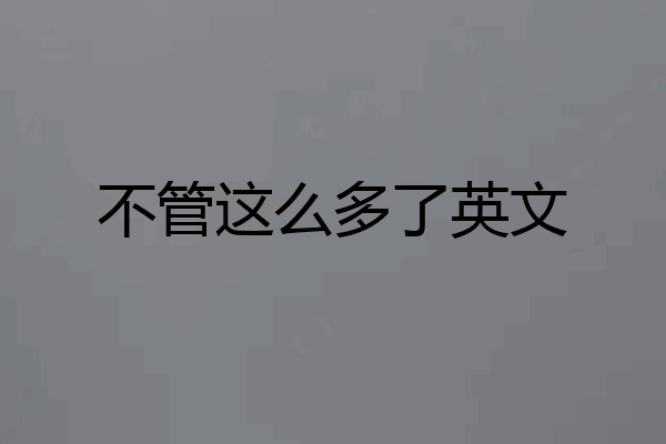不管这么多了英文