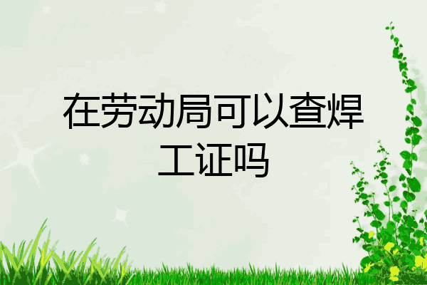 在劳动局可以查焊工证吗
