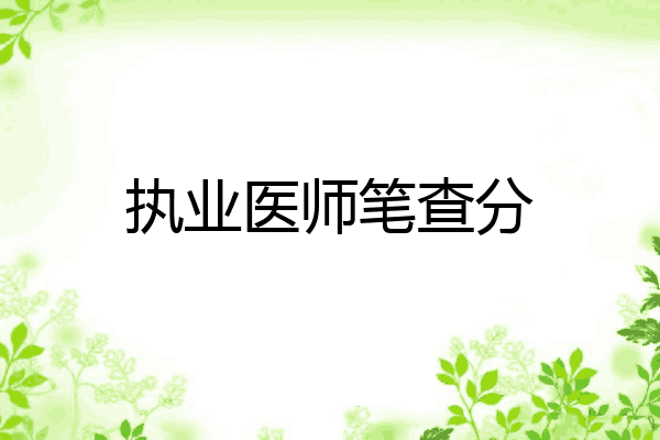 执业医师笔查分