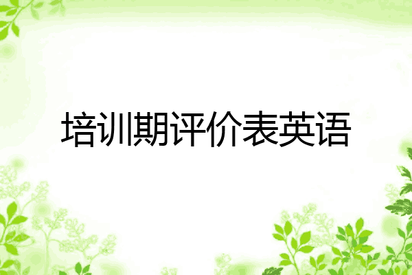 培训期评价表英语