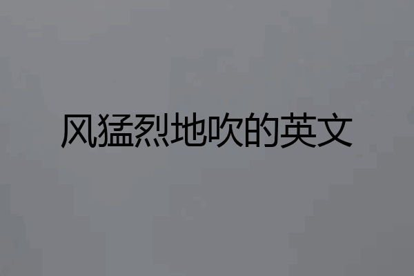 风猛烈地吹的英文