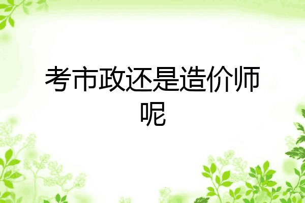 考市政还是造价师呢