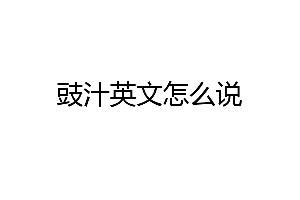 豉汁英文怎么说