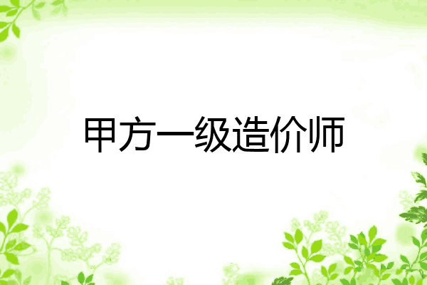 甲方一级造价师
