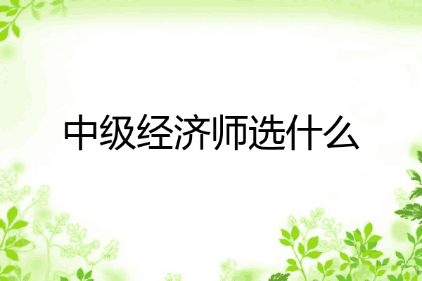 中级经济师选什么