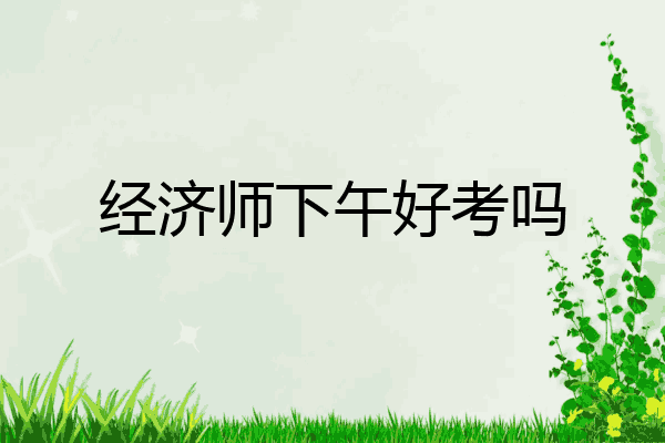 经济师下午好考吗