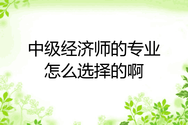 中级经济师的专业怎么选择的啊