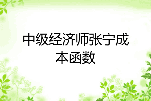 中级经济师张宁成本函数