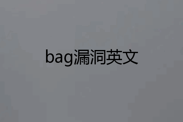 bag漏洞英文