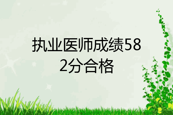 执业医师成绩582分合格